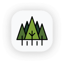 Pine icon